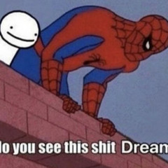 You see this shit Dream?