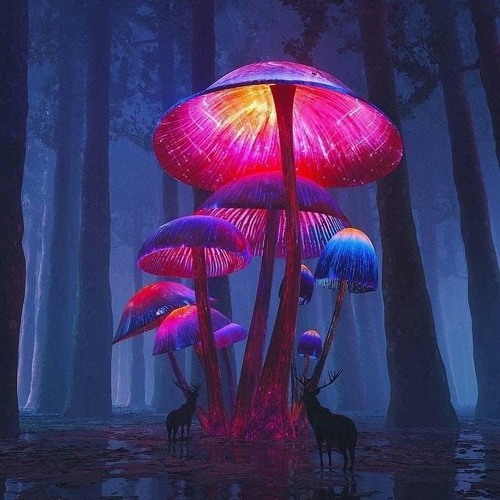 сила мечты (freshr qbeat) vol.5