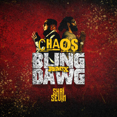 CHAØS (Bling Dawg Remix)