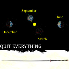 The Year of The Quitter