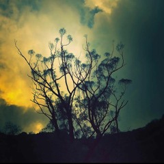 ted when: scenic route