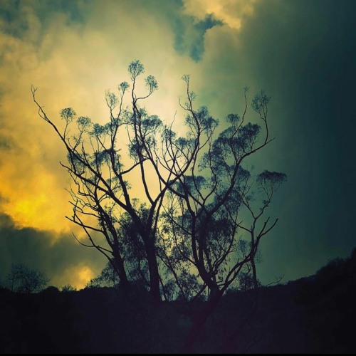 ted when: scenic route