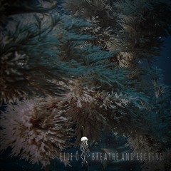 Premiere: Elie Ô - Breathe and Receive [FAWNA]