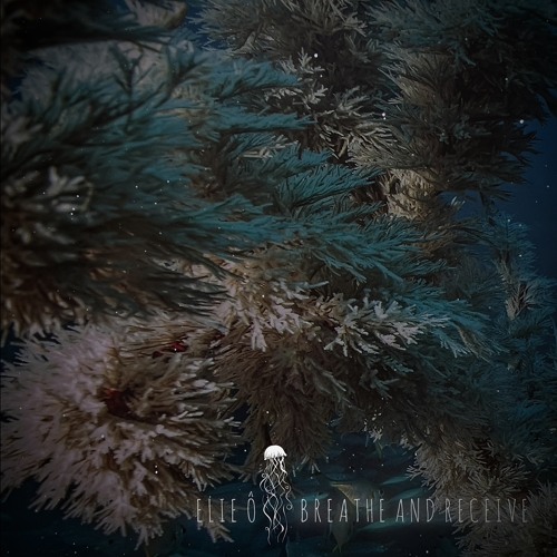 Premiere: Elie Ô - Breathe and Receive [FAWNA]