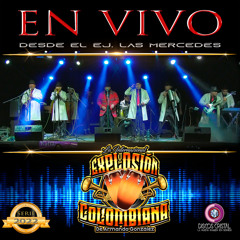 Baila Mi Negra (En Vivo)