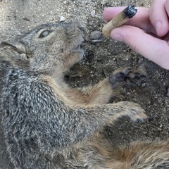 shoeshine for neptune-Arsonists Get All the Girls