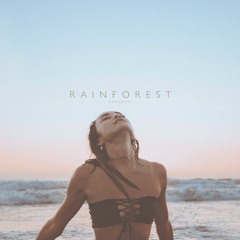 Rainforest - Vendredi | Free Background Music | Audio Library Release