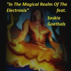 In The Magical Realm Of The Electronix feat. Saskia Goethals(remix)