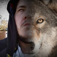 WOLVES FREESTYLE