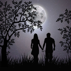 Dreamed of You