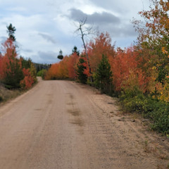 Hot Dirt Smell (Vocal and Acoustic Guitar)