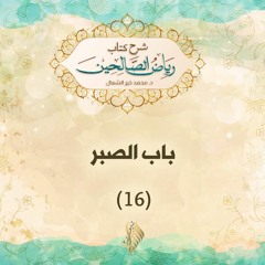 باب الصبر 16 - د. محمد خير الشعال