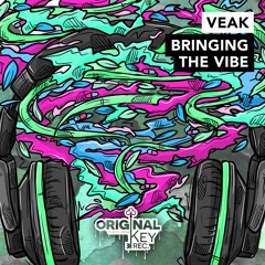 Veak - Execute That  - Original Key Records
