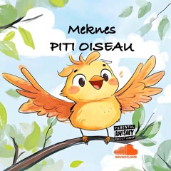 Meknes - Piti Oiseau Impro (Paddle instrumental 2025)