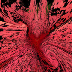 The Orchid Paradox - Black Hole Swimmer