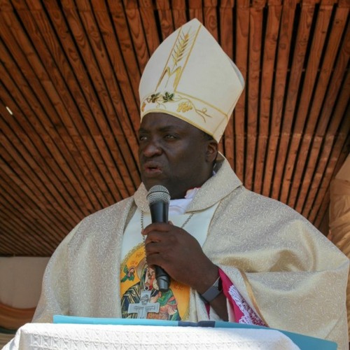 Stream Bullets, Beasts & Bayonets: Bishop Mupandasekwa by NMCS Zimbabwe ...