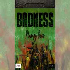 Badness