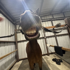 Sammy Elo, HenkeTooRaw & Ryan David -  "Forever Grateful"