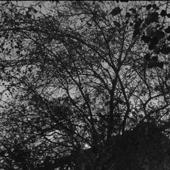 Exit Music (Radiohead Cover)