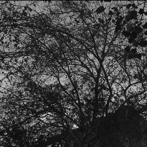 Exit Music (Radiohead Cover)