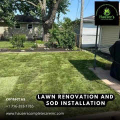 Lawn Renovation And Sod Installation