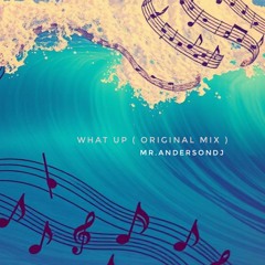 WHAT UP ( Original mix )