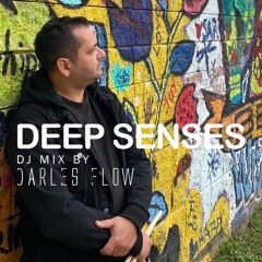 Darles Flow  - Deep Senses [M-Sol DEEP] DJ Mix
