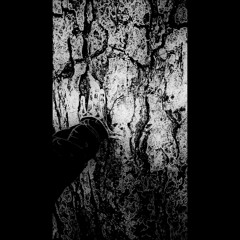 Pulchra Tempus // mastered