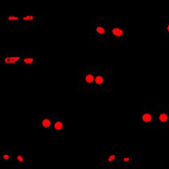 bad friends (ft. +öpĩç & RIP ₽iranha)