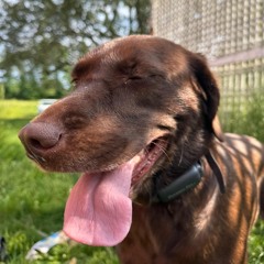 aint that nobel mix 3.m4a (5/4/23)