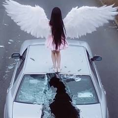 skrics-salfire w/lurs