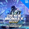 Download Video: DJ CHRISSY G NEW MONKEY PODCAST 003