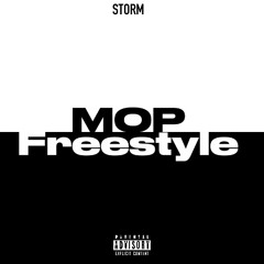 Storm - Mop Freestyle