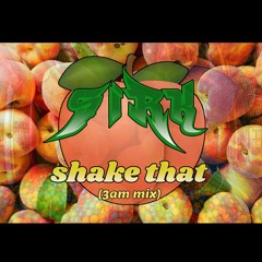 Shake That (3am mix)