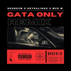 GATA ONLY (Shubhvm x Heykalinho x Mvd M Remix)