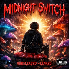 Porcini-Midnight Switch+UNRELEASED (Prod Xenovi).m4a