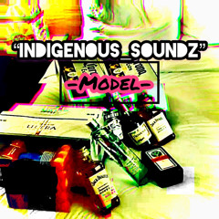 Model (Prod. By Indigenous_Soundz)