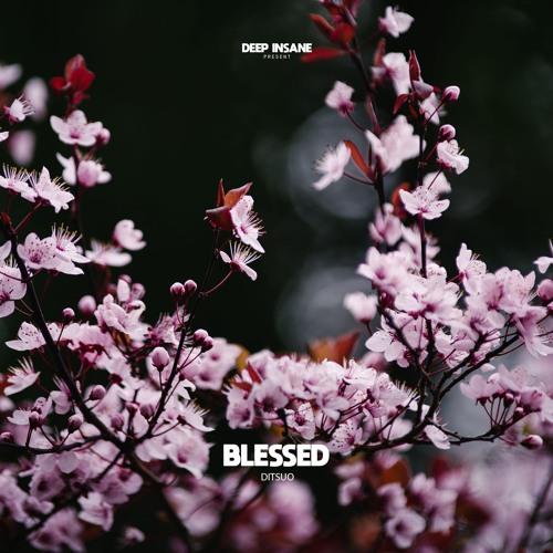 Ditsuo - Blessed (Original Mix) [EXTENDED MIX] freedownload