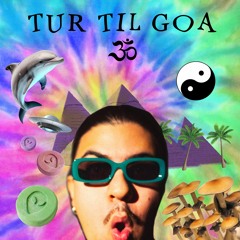 Tur til Goa