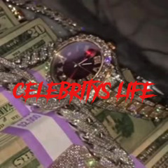 Celebrity Experience