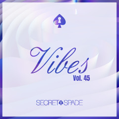 Vibes Vol.45