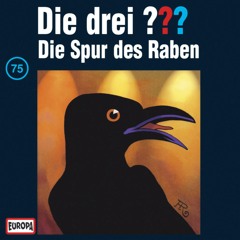 075 - Die Spur des Raben (Teil 21)