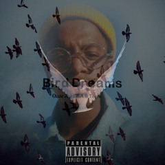 Bird Dreams