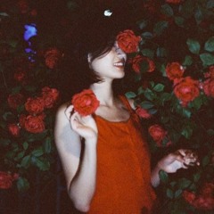 만개(滿開)