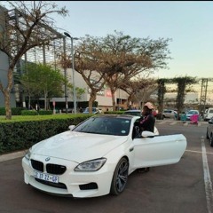 TR3$$ x SURFGANGAURO