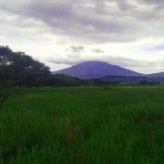 Sanctuary Garden (Old)