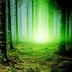 The trees know