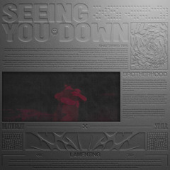 DEATHBEAT X ST.CLR - SEEING YOU DOWN (SLOWLY)
