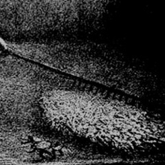 Mdłości I (Mgła cover)