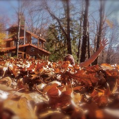 09 Sfb Bbday 42322 Maybe Its Time